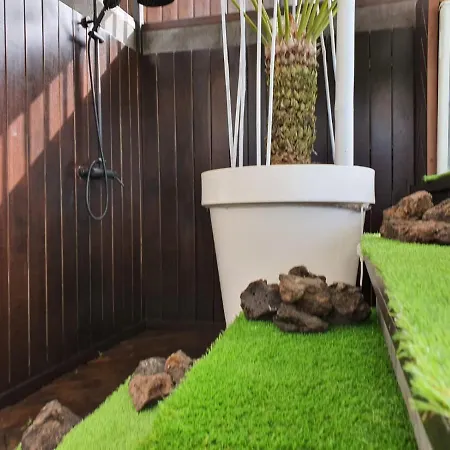 公寓 Precioso Atico En El Norte Tenerife
